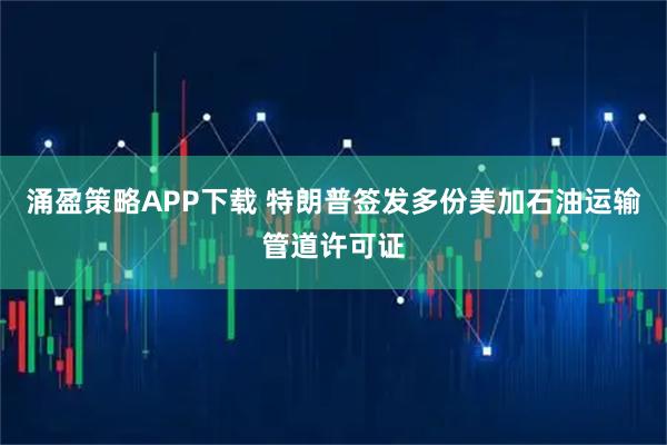 涌盈策略APP下载 特朗普签发多份美加石油运输管道许可证